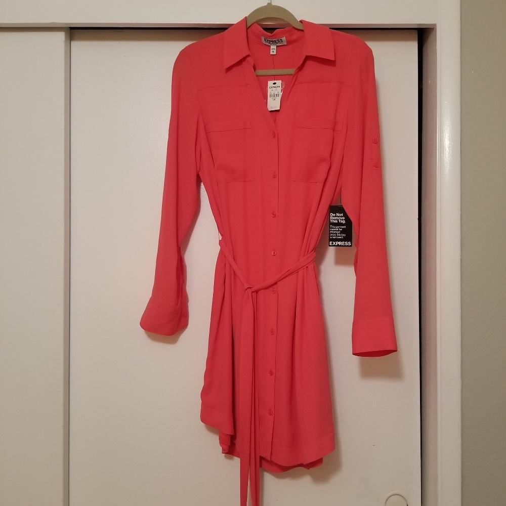 Express Potofino Shirt Dress